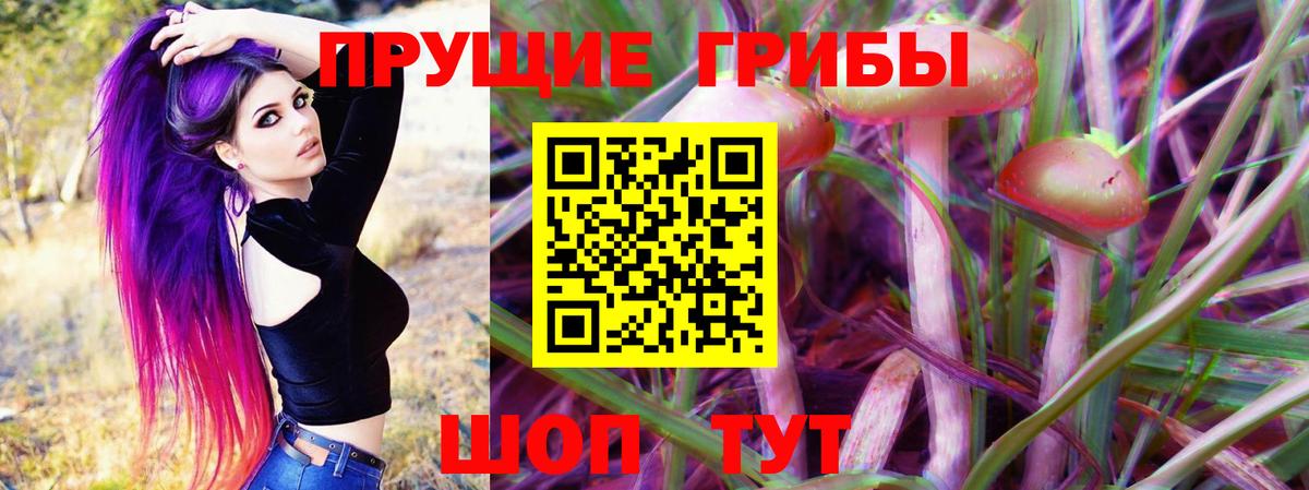 Галлюциногенные грибы мицелий Горячий Ключ